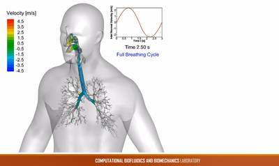 ANSYS_Oklahoma_State_University_CFD_based_elastic_lung_model