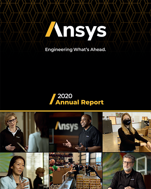 Cover image of 2020 Annual Report